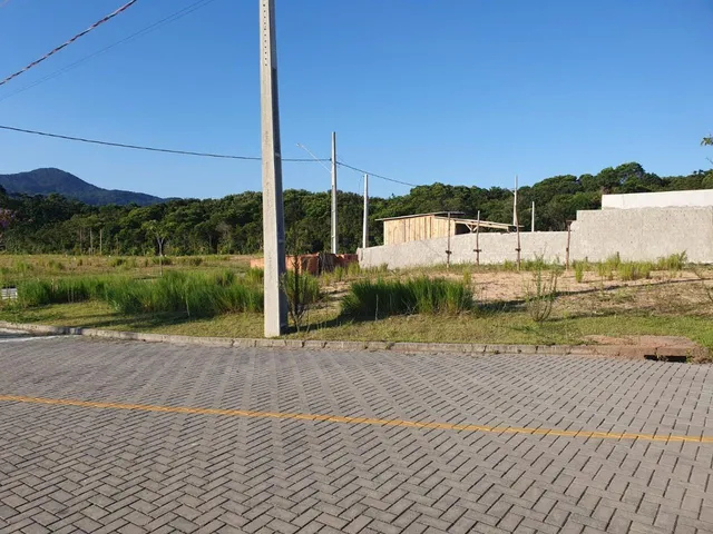 Imagem 3: Lindo Terreno de Esquina com Mais de 450 M² no Loteamento Quinta das Palmeiras!