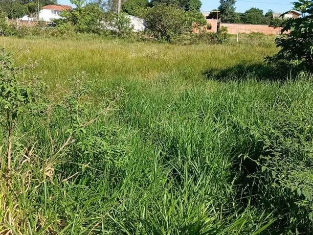 Imagem 3: Terreno À Beira D&Apos;Água em Imbituba-Sc: Construa Sua Casa dos Sonhos em Meio À Natureza Exuberante!