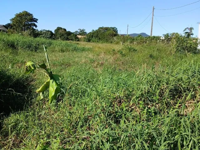 Imagem 7: Terreno À Beira D&Apos;Água em Imbituba-Sc: Construa Sua Casa dos Sonhos em Meio À Natureza Exuberante!