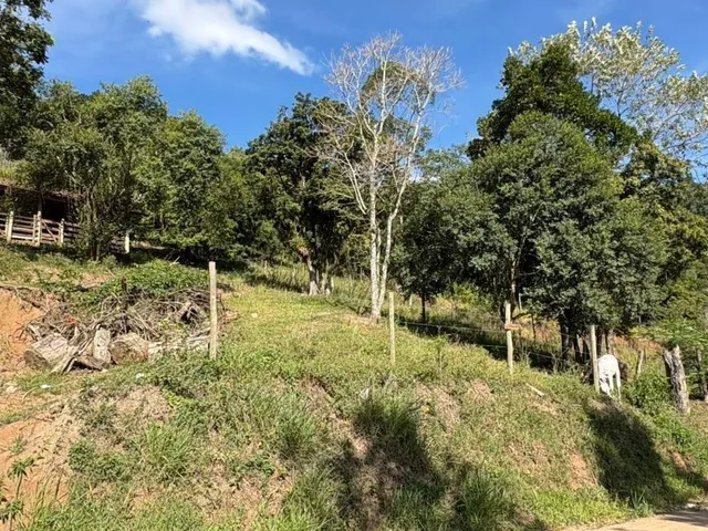 Imagem 15: Terreno À Venda na Penha, Paulo Lopes-Sc: 4.681,10 M² de Área para Investimento!