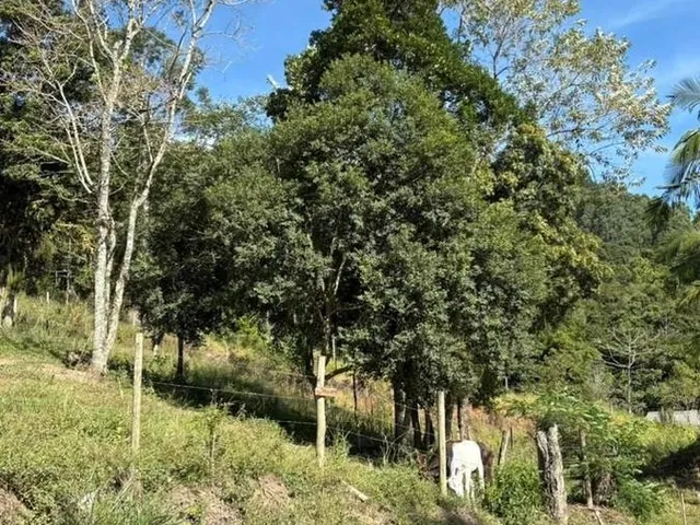 Imagem 4: Terreno À Venda na Penha, Paulo Lopes-Sc: 4.681,10 M² de Área para Investimento!