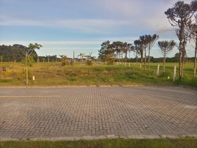 Imagem 6: 0 Terreno / lote com venda por R$300.000