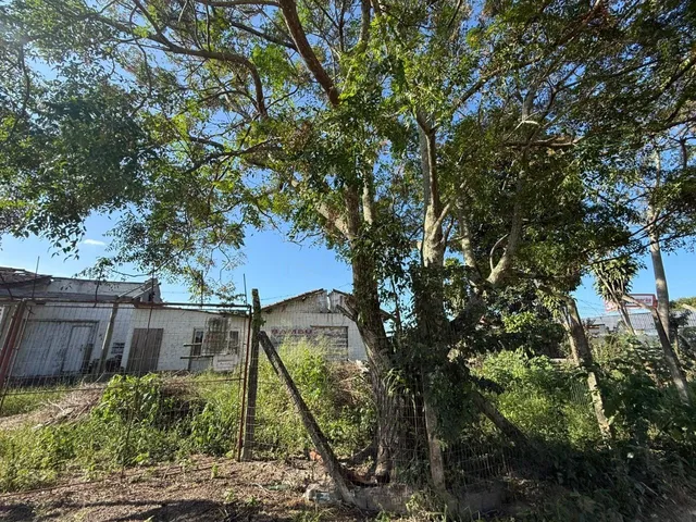 Imagem 6: Terreno À Venda em Imbituba-Sc, no Bairro Araçatuba, com 640,00 M² de Área!