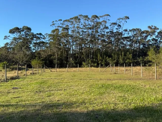 Imagem 7: Oportunidade: Terreno de 391,50 M² À Venda em Imbituba, Bairro Araçatuba!