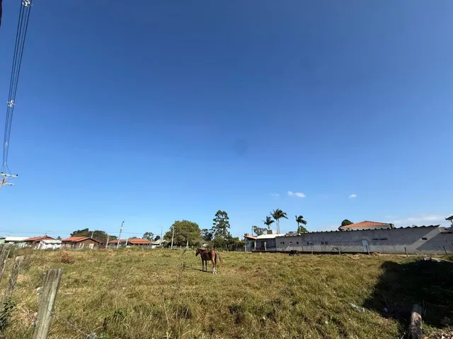 Imagem 3: Terreno À Venda em Garopaba-Sc, Bairro Campo Duna, 456M² de Área. Venha Conhecer!