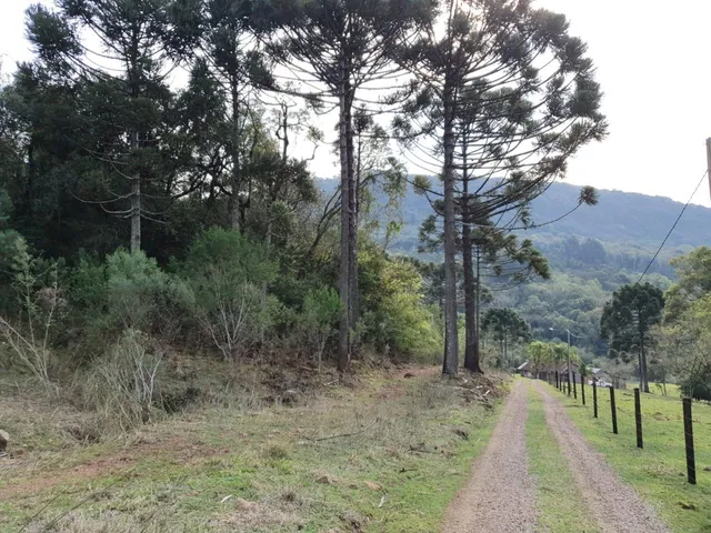 Imagem: Área de 14,9 Hectares À Venda em Gramado