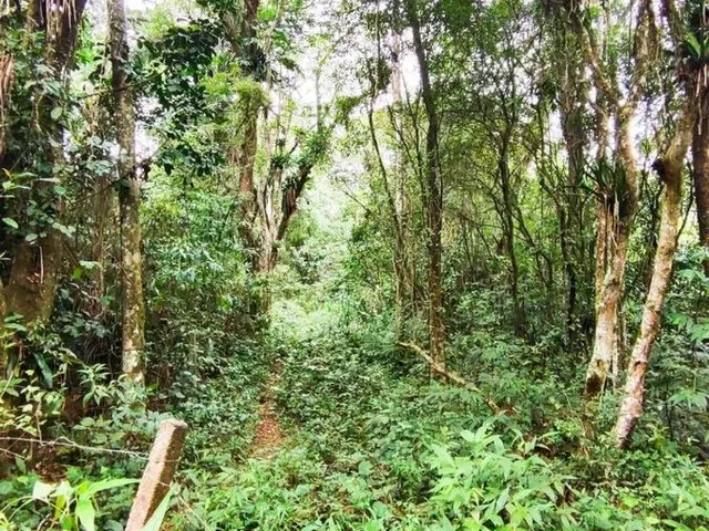 Imagem 2: Terreno À Venda em Garopaba-Sc, Bairro Encantada, com 11.995,00 M² de Área!