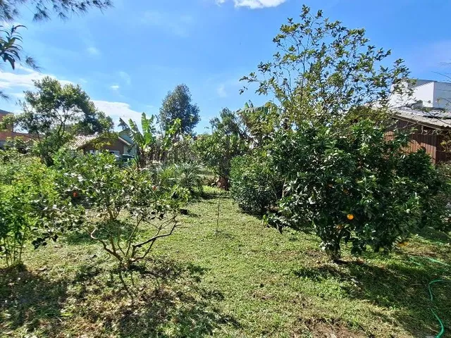Imagem 4: 0 Casa com 2 dormitórios