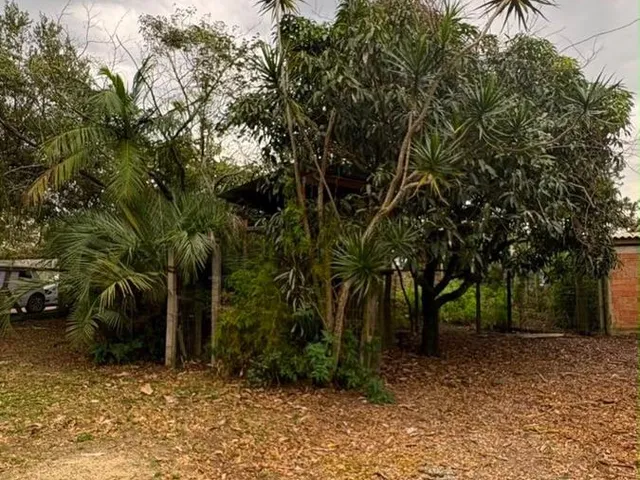 Imagem 6: Terreno de 715 M² À Venda na Praia do Rosa Excelente Oportunidade para Investir