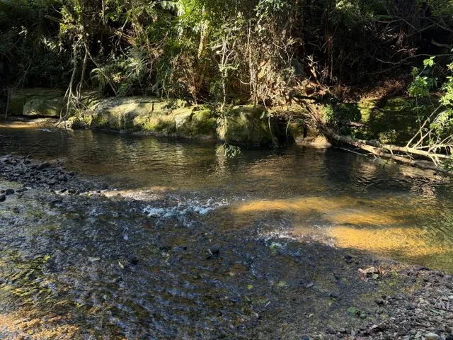 Imagem: 4,4 Hectares com Cachoeira Particular e