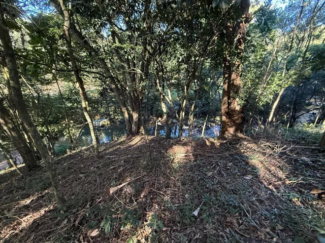 Imagem 5: 4,4 Hectares com Cachoeira Particular e Vista para as Montanhas