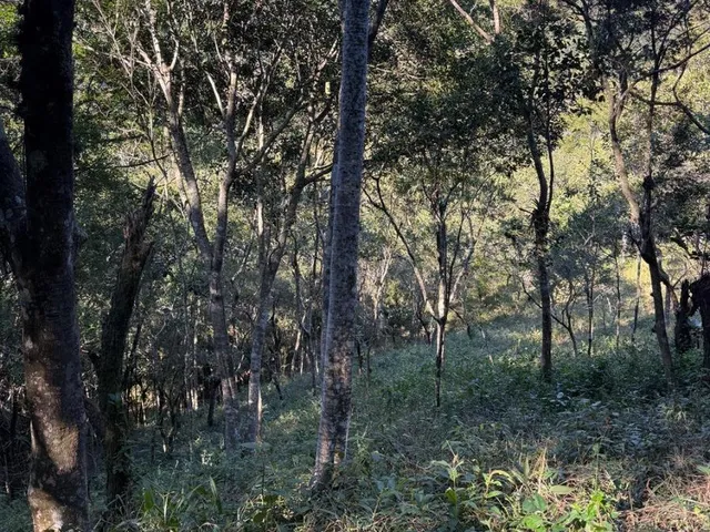 Imagem 14: 4,4 Hectares com Cachoeira Particular e Vista para as Montanhas