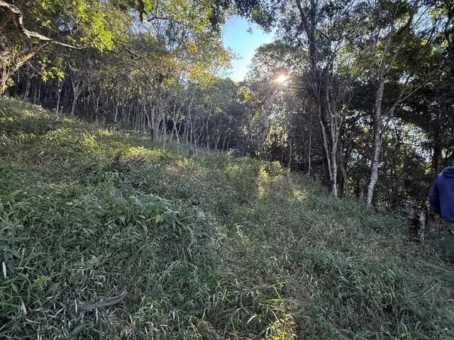 Imagem 2: 4,4 Hectares com Cachoeira Particular e Vista para as Montanhas