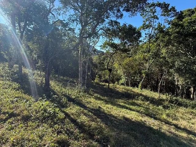 Imagem 7: 4,4 Hectares com Cachoeira Particular e Vista para as Montanhas
