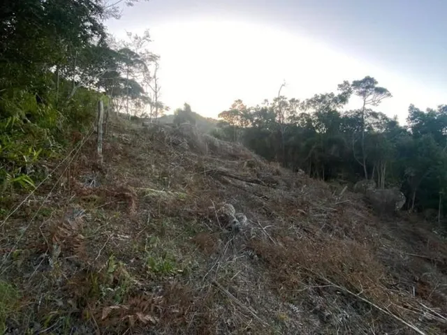 Imagem 2: Terreno À Venda em Morro Agudo - Paulo Lopes/Sc: 1.500 M² de Oportunidade Única!