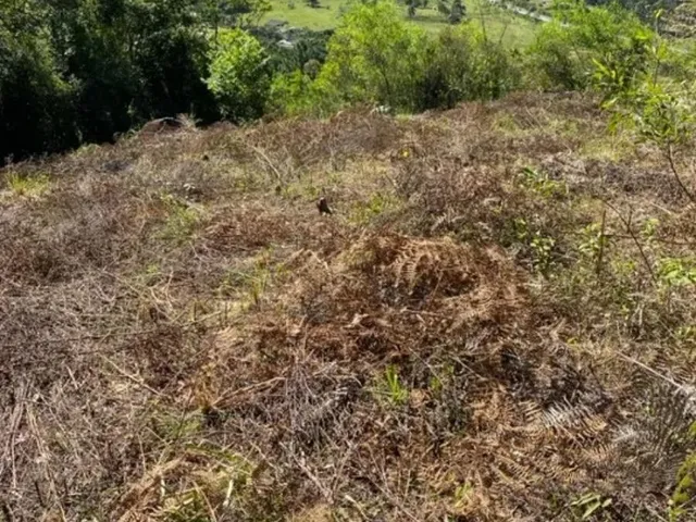 Imagem 6: Terreno À Venda em Morro Agudo - Paulo Lopes/Sc: 1.500 M² de Oportunidade Única!