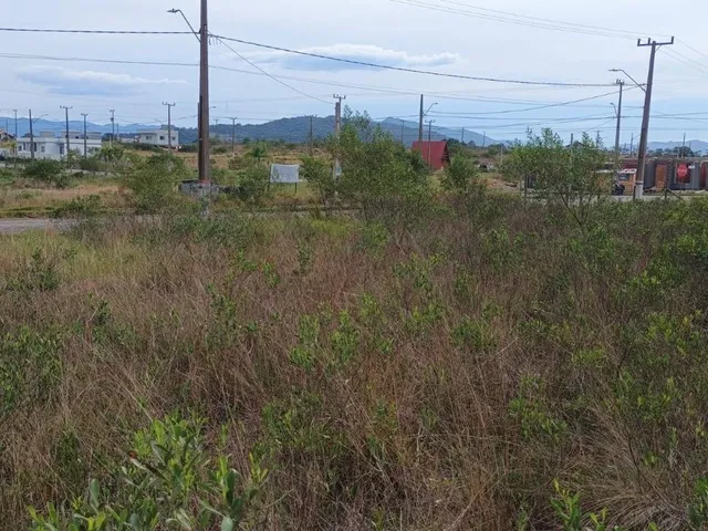 Imagem 5: Terreno no Loteamento do Bosque