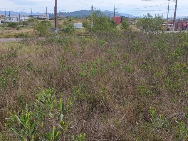 Imagem 3: Terreno no Loteamento do Bosque