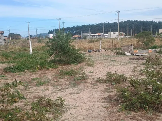 Imagem 14: Terreno Pronto para Construir no Loteamento do Bosque