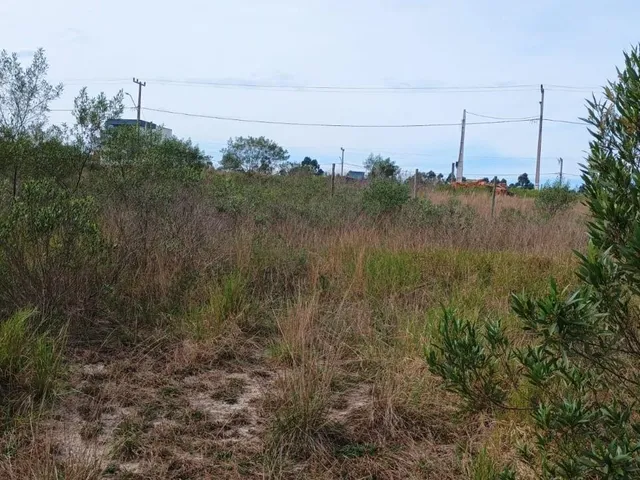 Imagem 2: Terreno Pronto para Construir no Loteamento do Bosque