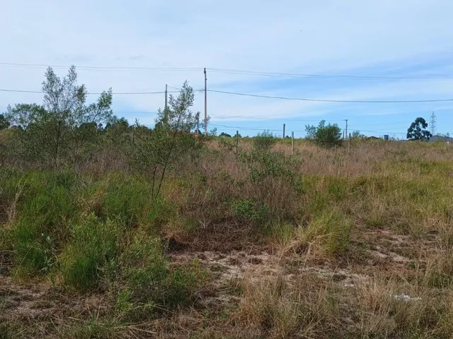 Imagem 6: Terreno Pronto para Construir no Loteamento do Bosque