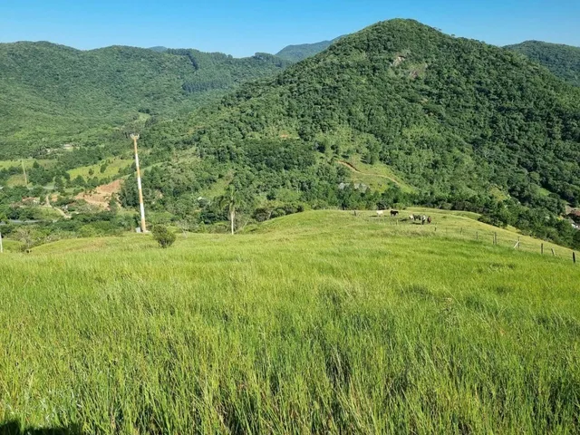 Imagem: Terreno À Venda em Paulo Lopes-Sc, Morro