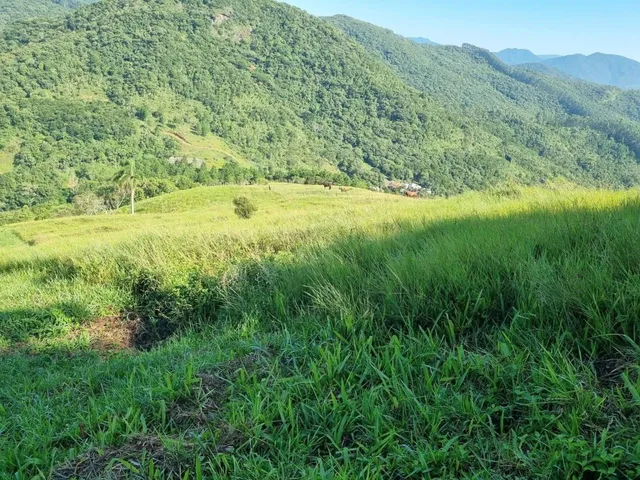 Imagem 2: Terreno À Venda em Paulo Lopes-Sc, Morro Agudo: 18.977M² de Oportunidade de Investimento!