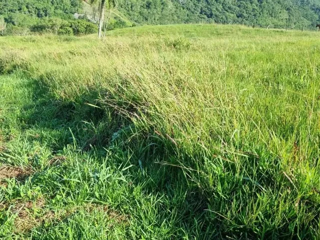 Imagem 3: Terreno À Venda em Paulo Lopes-Sc, Morro Agudo: 18.977M² de Oportunidade de Investimento!