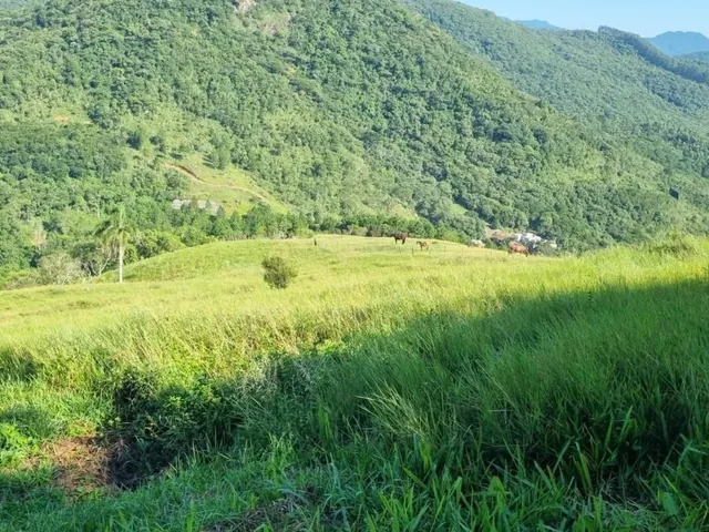 Imagem 5: Terreno À Venda em Paulo Lopes-Sc, Morro Agudo: 18.977M² de Oportunidade de Investimento!