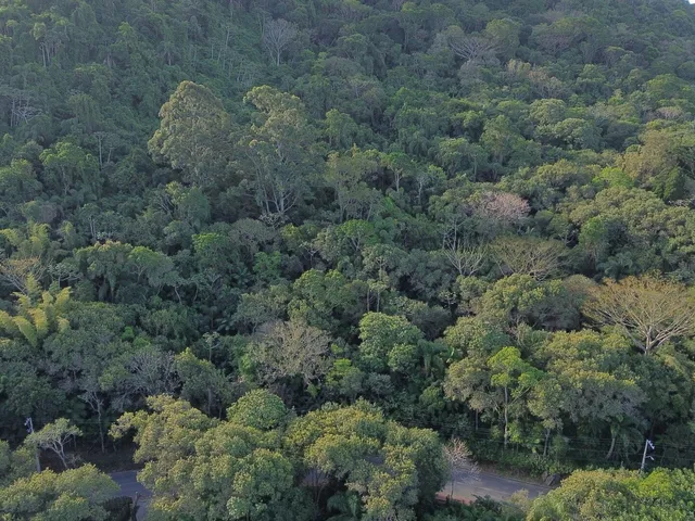 Imagem 9: Terreno À Venda com Vista Ao Mar e para Lagoa em Garopaba Sc