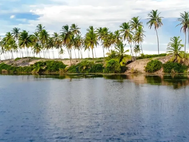Imagem 5: 0 Casa com 4 dormitórios