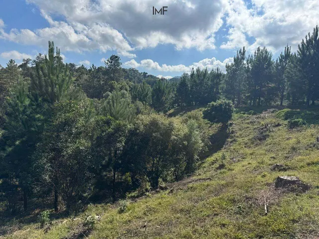 Imagem 8: Terreno À Venda Doutor Pedrinho
