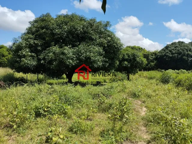 Imagem 8: Oportunidade Única: Terreno À Venda no Centro de Imperatriz-Ma, com 32.850,00 M² de Área