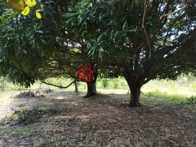 Imagem 2: Oportunidade Única: Terreno À Venda no Centro de Imperatriz-Ma, com 32.850,00 M² de Área