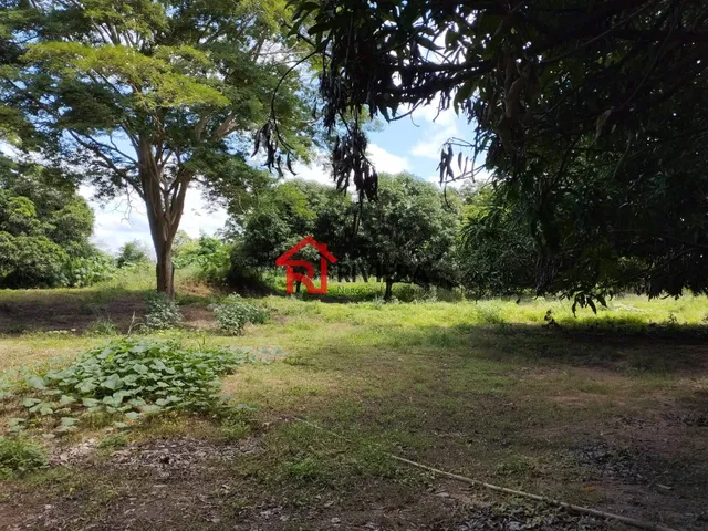 Imagem 14: Oportunidade Única: Terreno À Venda no Centro de Imperatriz-Ma, com 32.850,00 M² de Área