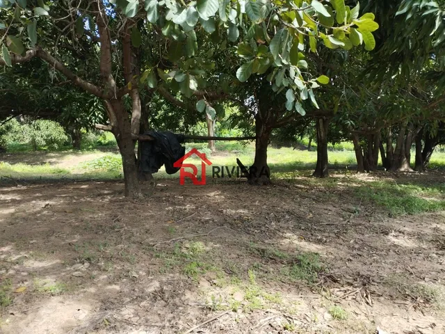 Imagem 9: Oportunidade Única: Terreno À Venda no Centro de Imperatriz-Ma, com 32.850,00 M² de Área