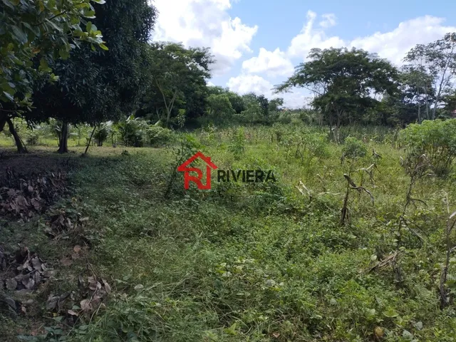 Imagem 3: Oportunidade Única: Terreno À Venda no Centro de Imperatriz-Ma, com 32.850,00 M² de Área