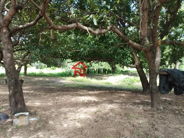 Imagem 12: Oportunidade Única: Terreno À Venda no Centro de Imperatriz-Ma, com 32.850,00 M² de Área