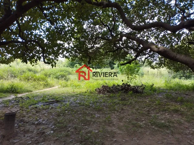Imagem 6: Oportunidade Única: Terreno À Venda no Centro de Imperatriz-Ma, com 32.850,00 M² de Área