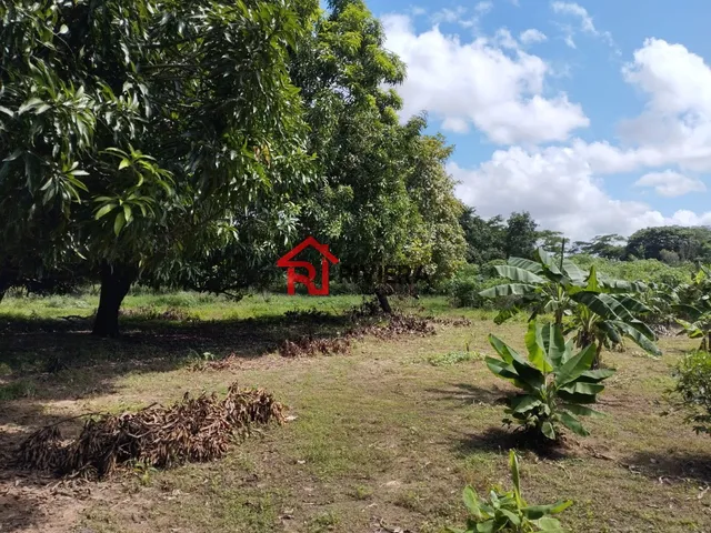 Imagem 11: Oportunidade Única: Terreno À Venda no Centro de Imperatriz-Ma, com 32.850,00 M² de Área