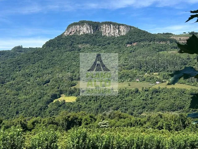 Imagem 12: 0 Chácara com venda por R$250.000