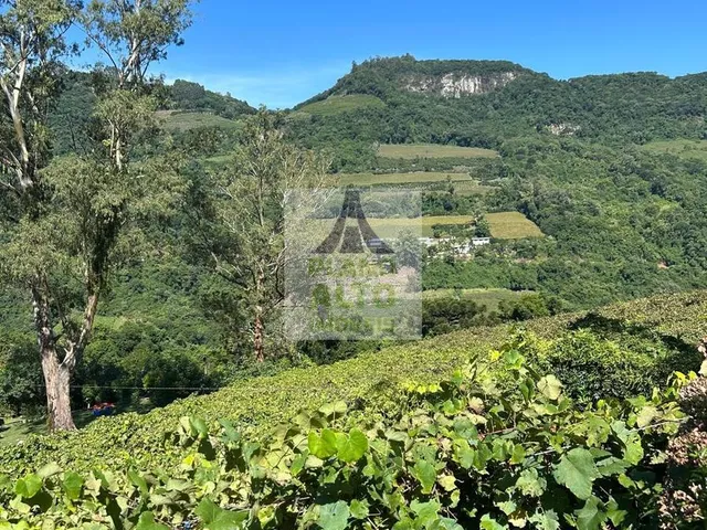 Imagem 6: 0 Chácara com venda por R$250.000