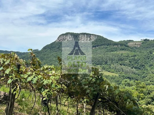 Imagem 14: 0 Chácara com venda por R$250.000