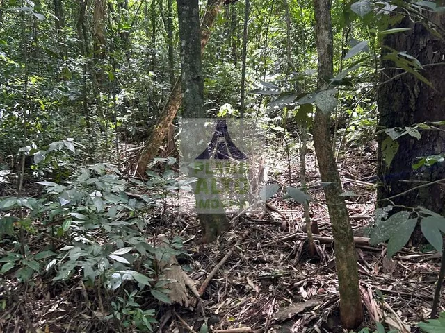 Imagem 11: 0 Chácara com venda por R$250.000