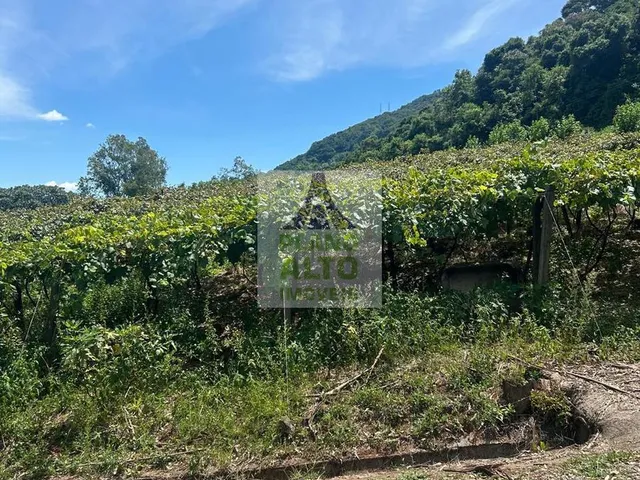 Imagem 5: 0 Chácara com venda por R$250.000