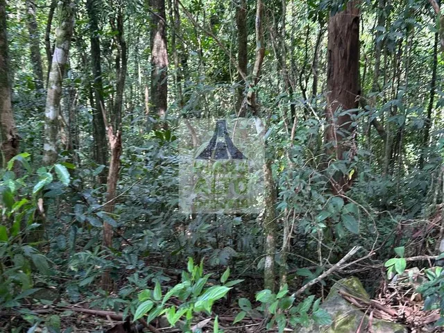 Imagem 3: 0 Chácara com venda por R$250.000
