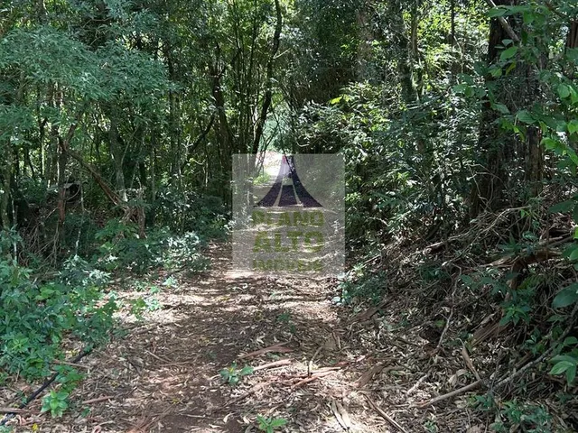 Imagem 15: 0 Chácara com venda por R$250.000