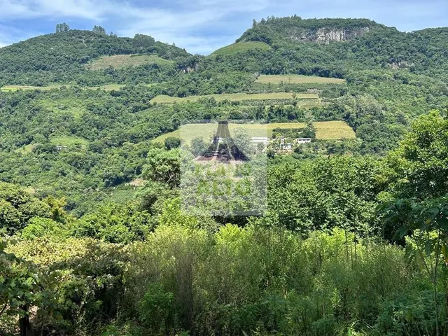 Imagem 9: 0 Chácara com venda por R$250.000