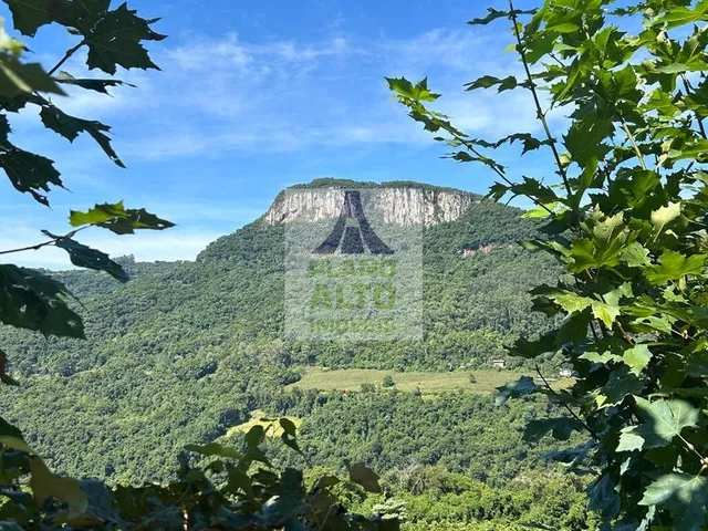 Imagem 4: 0 Chácara com venda por R$250.000