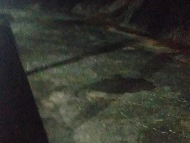 Imagem 2: Sítio À Venda no Bairro Centro - Caldas/Mg